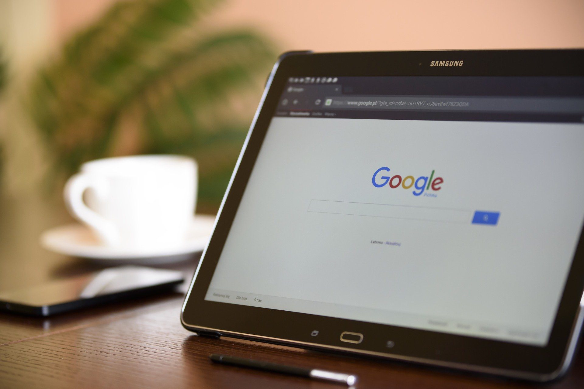 the world's largest search engine Google