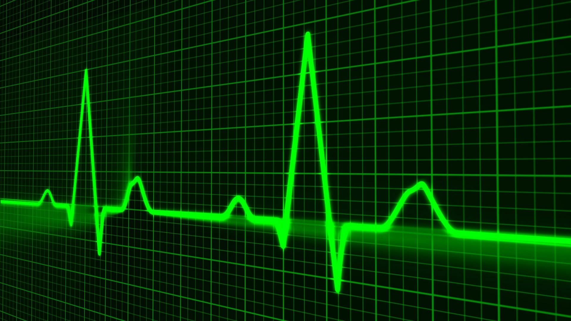 human pulse